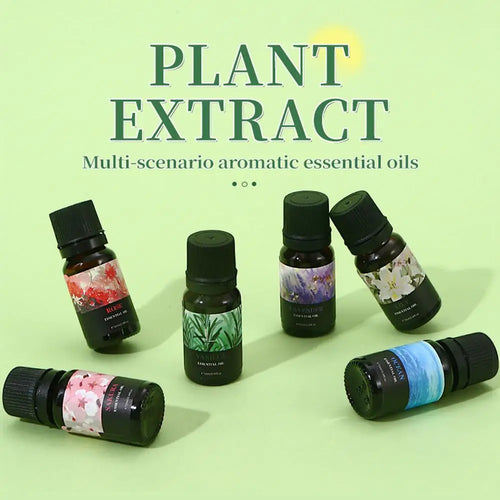 Essential oil set with rose, vanilla, lavender, lily, sakura, ocean scents in black glass bottles for aromatherapy.