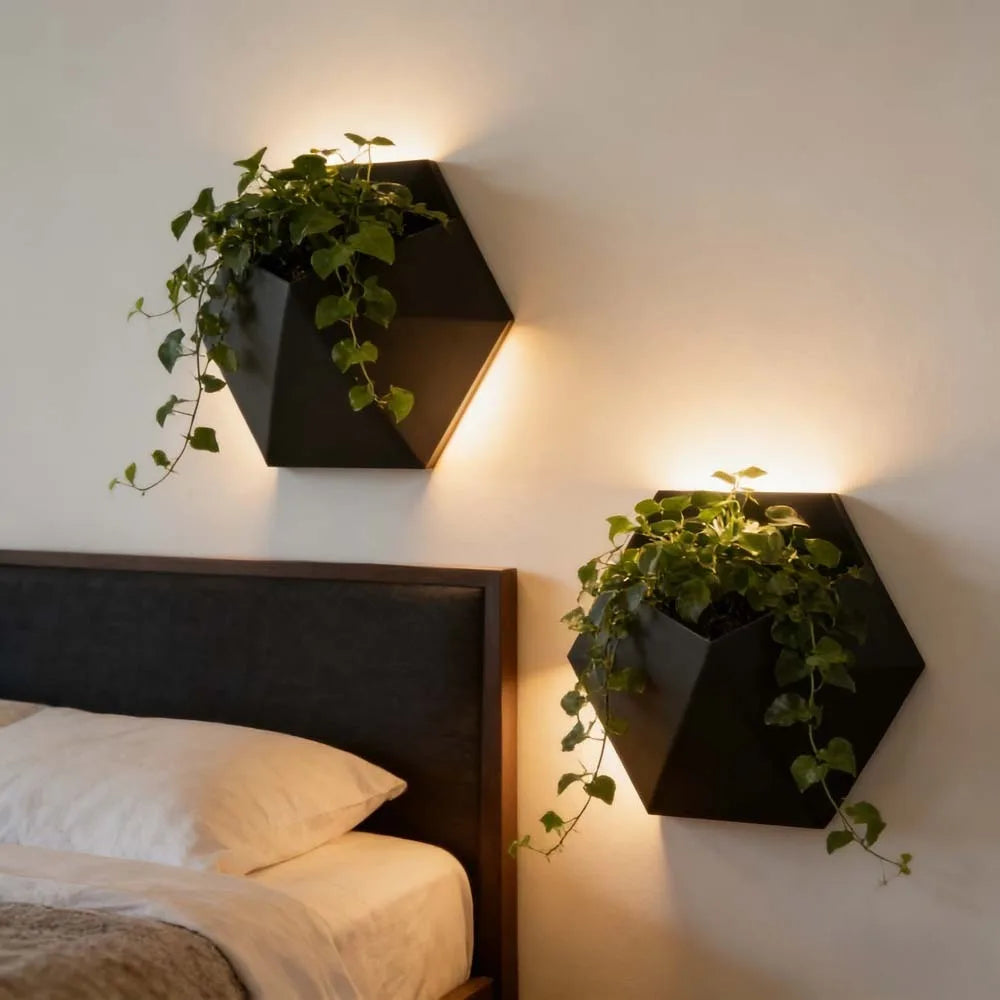 Black hexagonal wall planter with mounting holes, holding green trailing plants