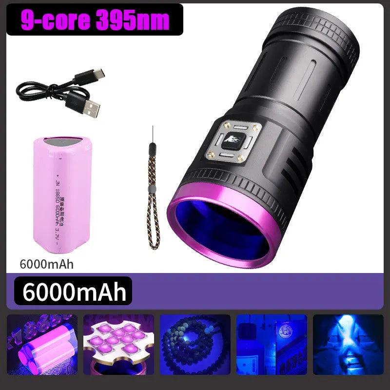 120W rechargeable UV flashlight with 9-core 395nm LED for pet urine detection and cleaning. USB-powered blacklight tool.
