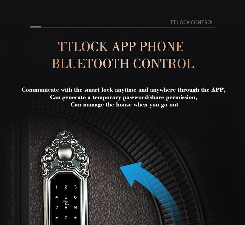 Competitive Price OEM&ODM TT Fingerprint Password Gold Handle Smart Door Handel Lock D30zm