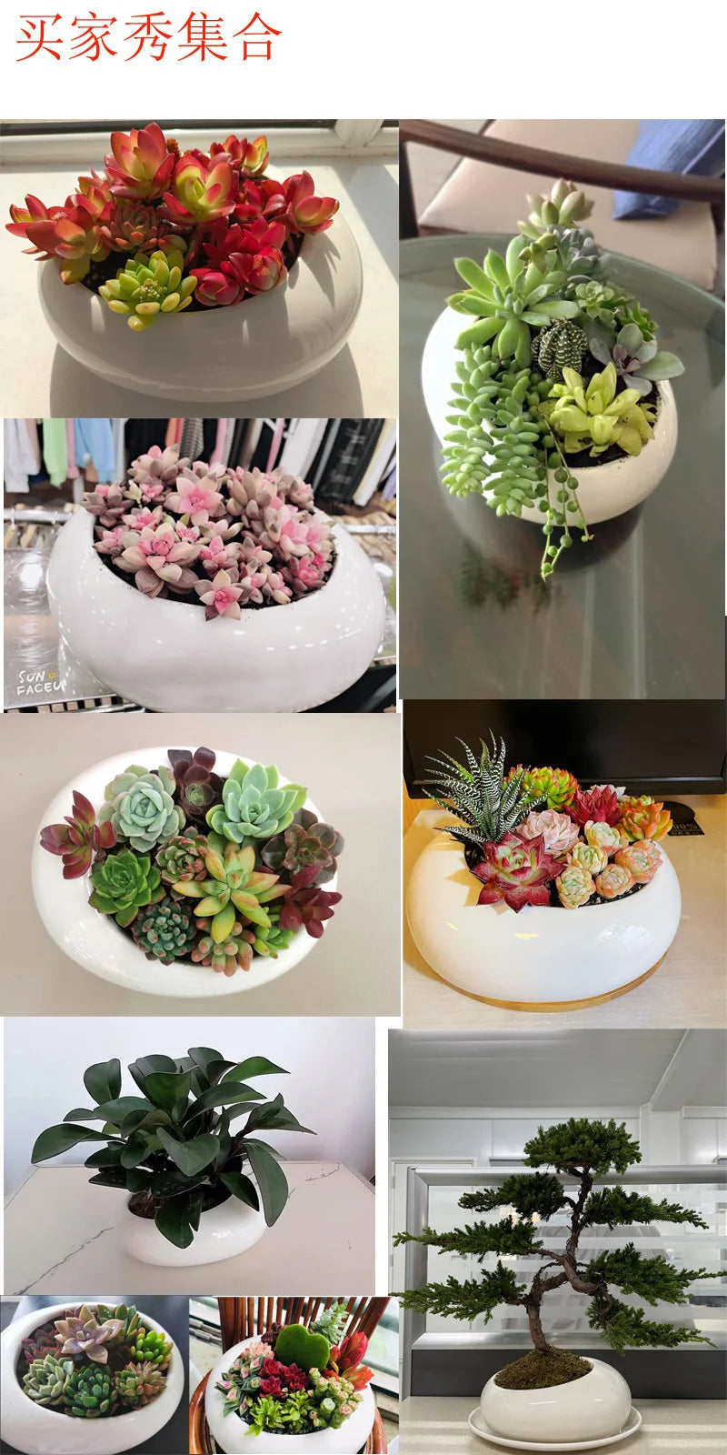 Oval Ceramic Succulent Pot Garden Supplies Balcony Flowerpot Plant Pot Garden Pots Planters Landscaping Potted Plant Flower Pots