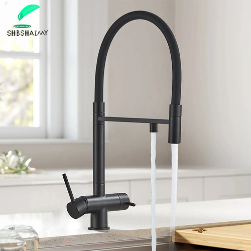 Matte black kitchen faucet with dual spout and two water streams