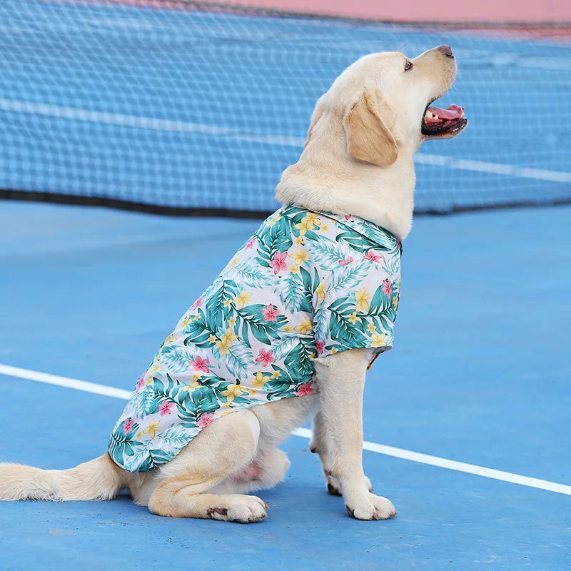 Labrador wearing a breathable, tropical floral Hawaii style pet shirt for summer comfort. Available in XS-5XL.