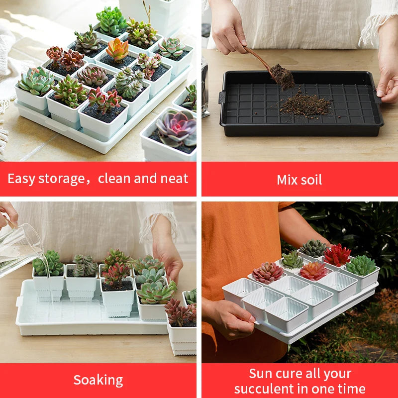 Meshpot Succulent Pot Plastic Flower Pot Cactus Lithops Planter Container Seedlings Nursery Garden Supplies Home Decoration