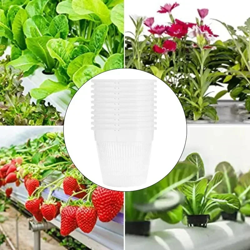 Meshpot Clear Orchid Pots Plastic Orchid Pot with Hole Nursery Flower Breathable Basin Outdoor Planters Gardening Tool Wholesale