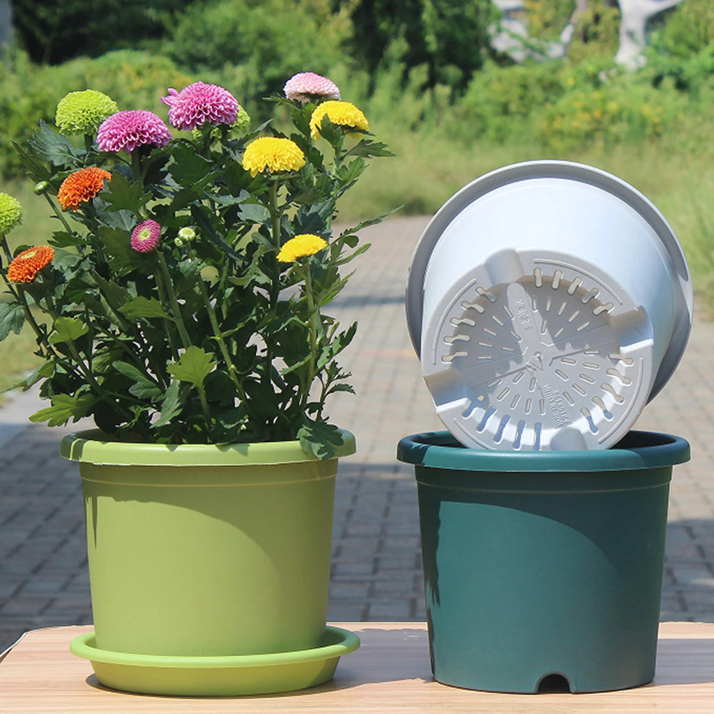 Green and teal thick plastic self-watering flowerpots with saucer drip trays