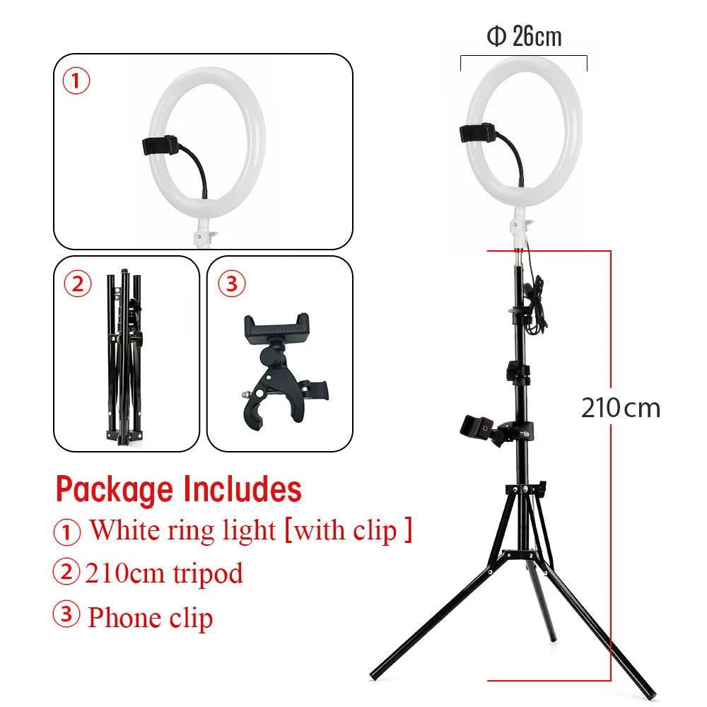26cm white ring light on a 210cm black tripod stand with an adjustable phone holder for photography and video.
