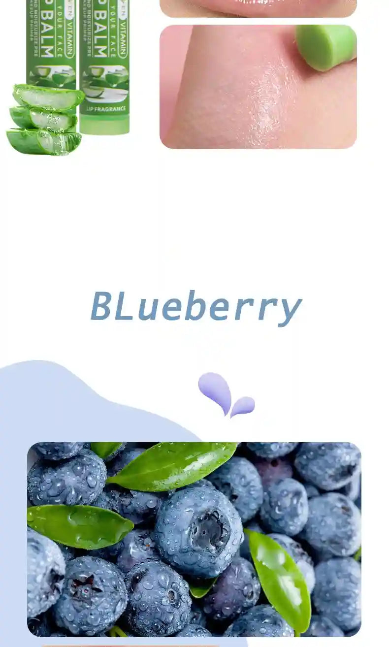 Fruit Flavor Lip Balm Set - 6 Pack Moisturizing Lip Treatment Lip Care Tidesmit