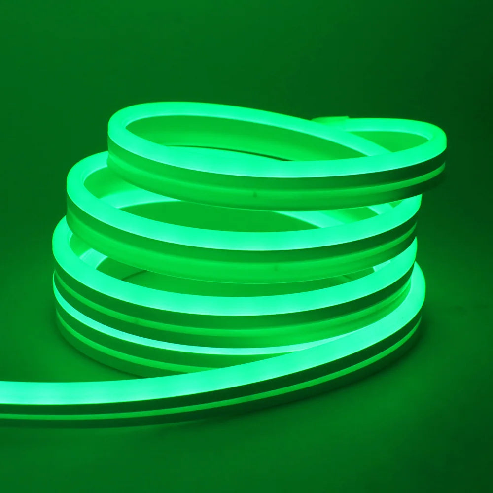 RGB Neon Light LED Rope Light Waterproof APP Remote Control Music Sync 24V Flexible DIY Silicone Strip Light for Indoor Outdoor