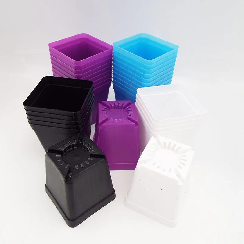 Small square plastic mini pots for succulents in black, purple, blue, and white, with drainage inserts.