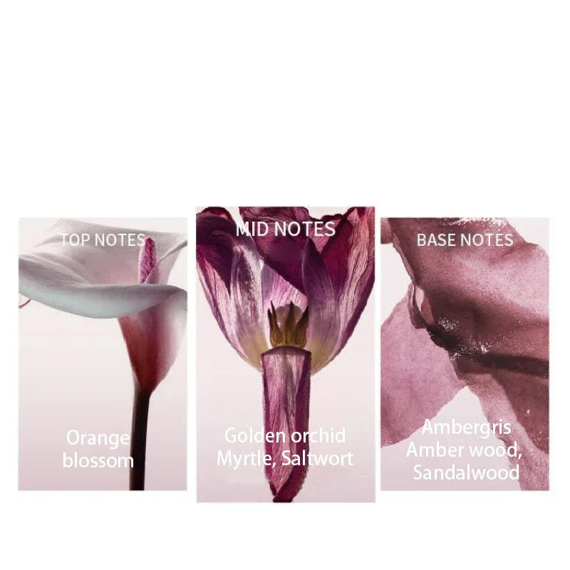 Tidesmit Romantic floral fruity Eau de Toilette for women with long-lasting freesia and grapefruit scent for dating