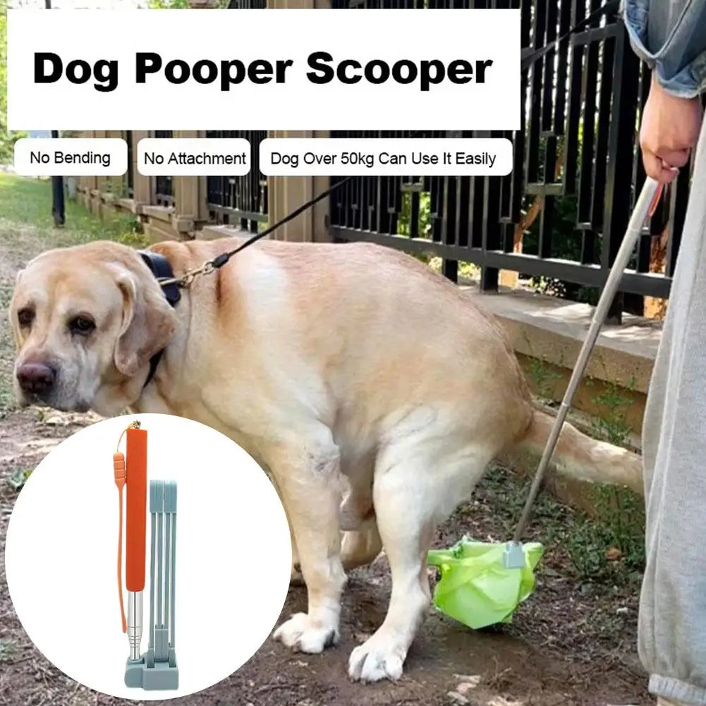 28.7-inch long-handle steel dog poop scooper for easy waste cleanup without bending. Portable, eco-friendly pet tool.