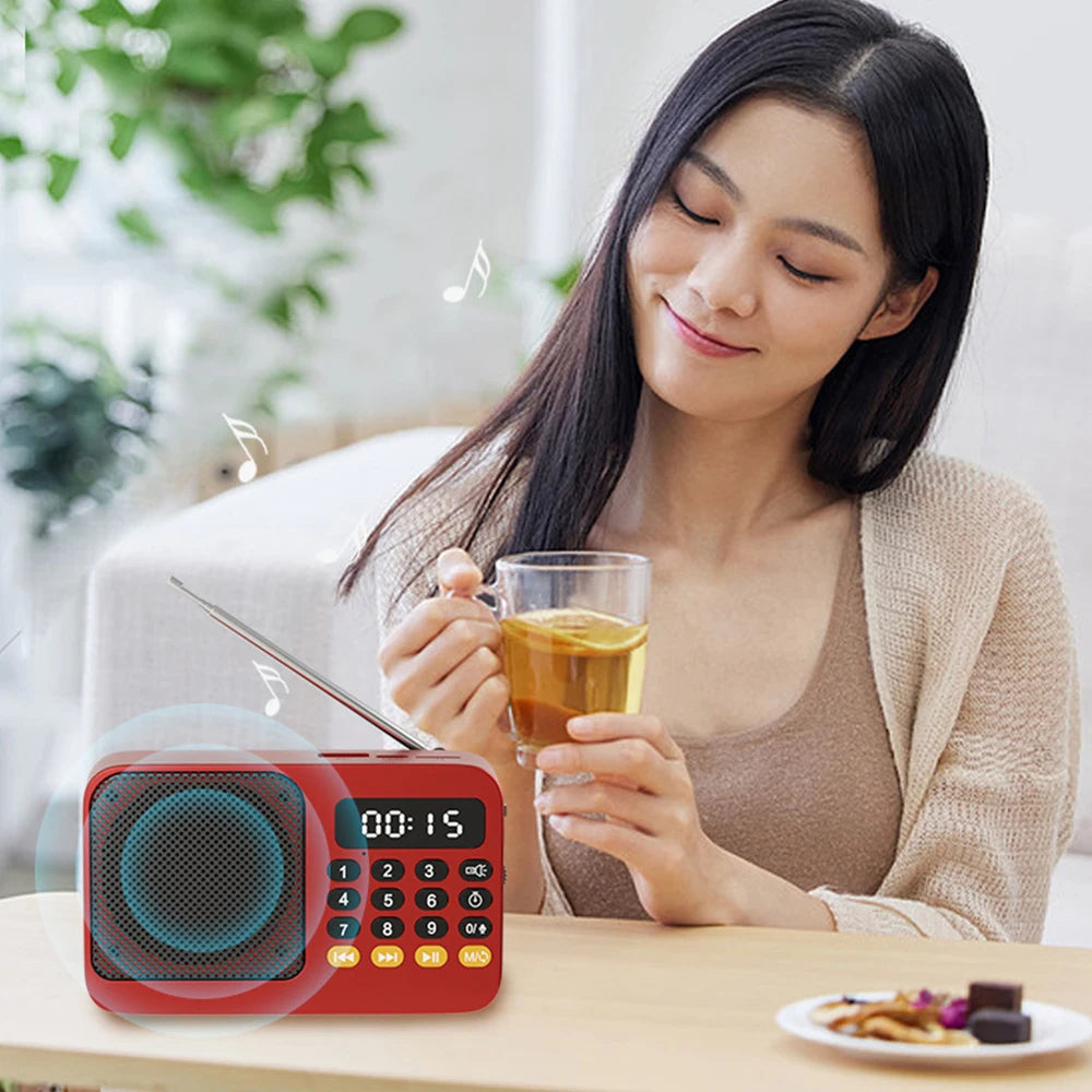 Bluetooth 5.0 FM Radio Portable Speaker with LED Light Support Recording TF Card USB Play Wireless Speaker Radio FM Receiver