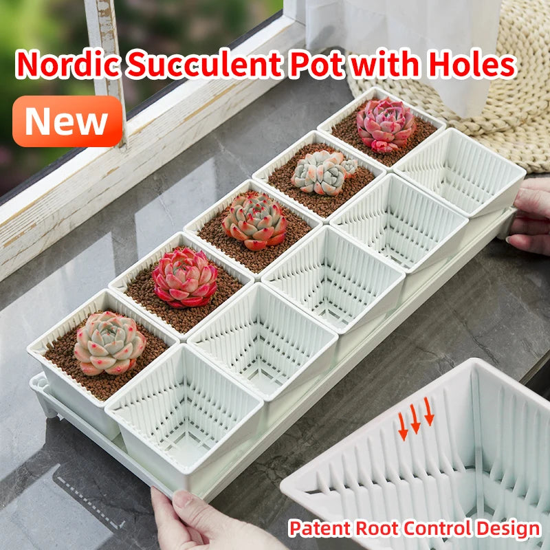 White perforated plastic succulent pot tray with multiple square compartments and drainage holes