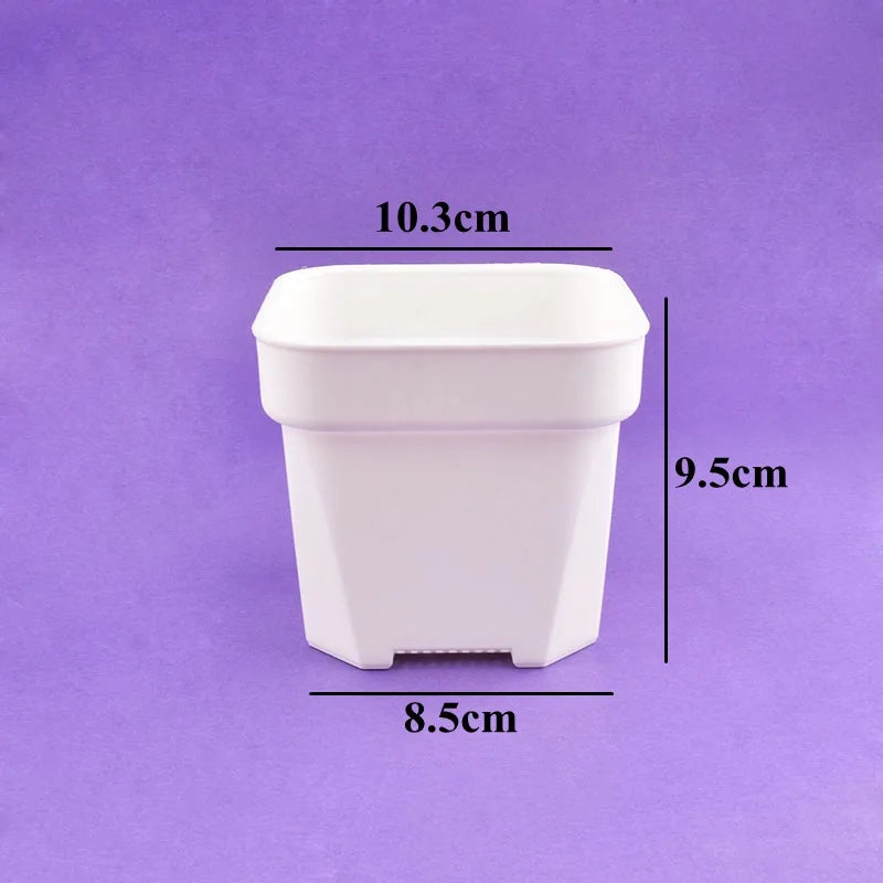 White square succulent planter pot; dimensions 10.3 cm and 9.5 cm shown