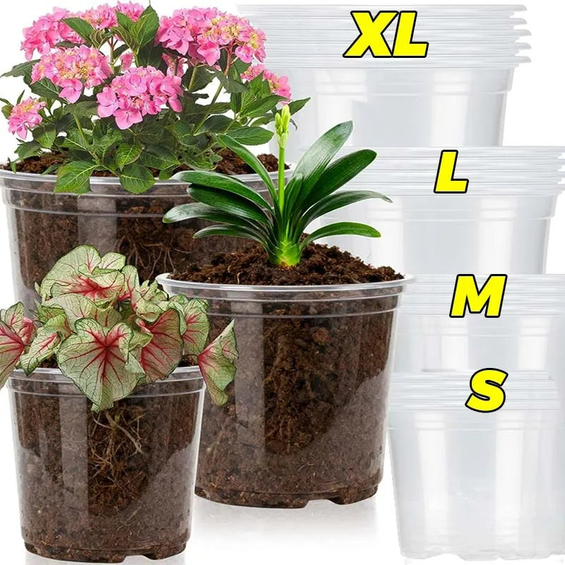 Transparent plastic plant nursery cups set, stacked in multiple sizes (S to XL)