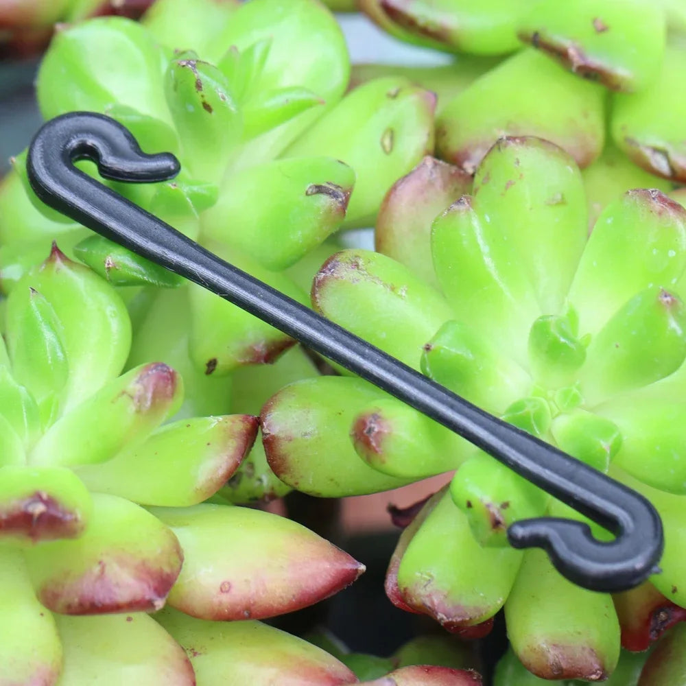 Multi-purpose Plant Cages & Supports for Garden Plants Vines - 200-800 Pcs Garden Clips Tied Buckles Lashing Hook Kiwi Grape