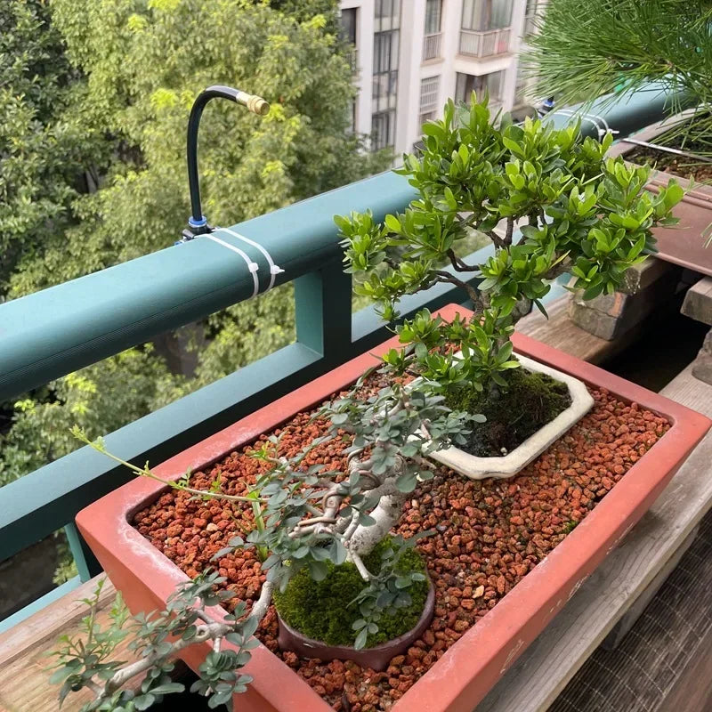 Automatic irrigation sprinkler hose set with T-connector along raised planter beds
