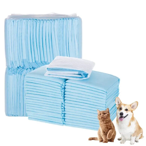 Bulk pack of absorbent blue baby care style training pads for puppy and kitten potty training.