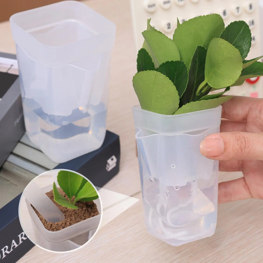 Transparent self-watering planter with seedling, clear plastic pot and water reservoir
