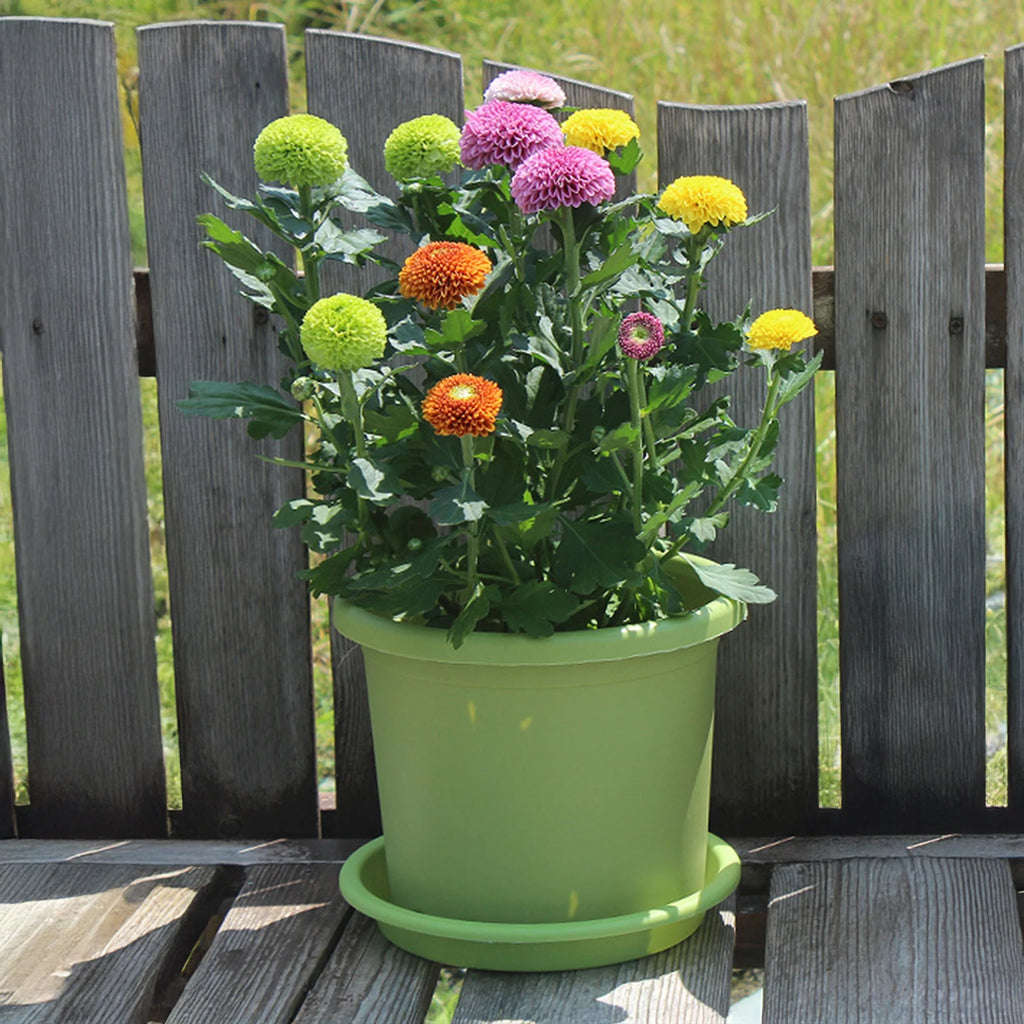 Green thick plastic self-watering flowerpot with matching drip tray base