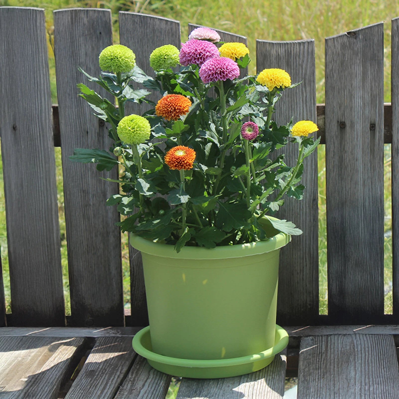 Green thick plastic self-watering flowerpot with matching drip tray base