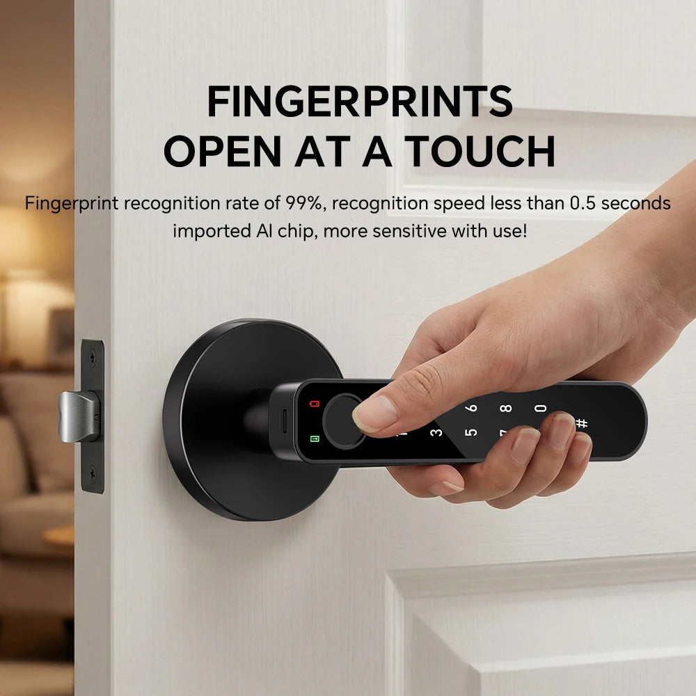 ICCSSI Smart Door Lock Fingerprint Lock Fingerprint/Tuya APP/Password/IC Card/key Unlock Multi Language Audio Playback B208APRO