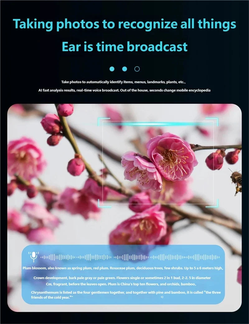 Smart Glasses with AI Voice Translation & Video Recording - Tidesmit Tidesmit