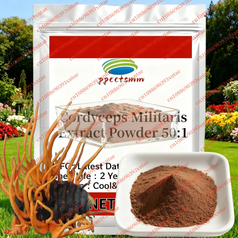 Factory Professional Sealing And Customized Packaging Cordyceps Militaris Extract For Body & Face Highlighter Powder
