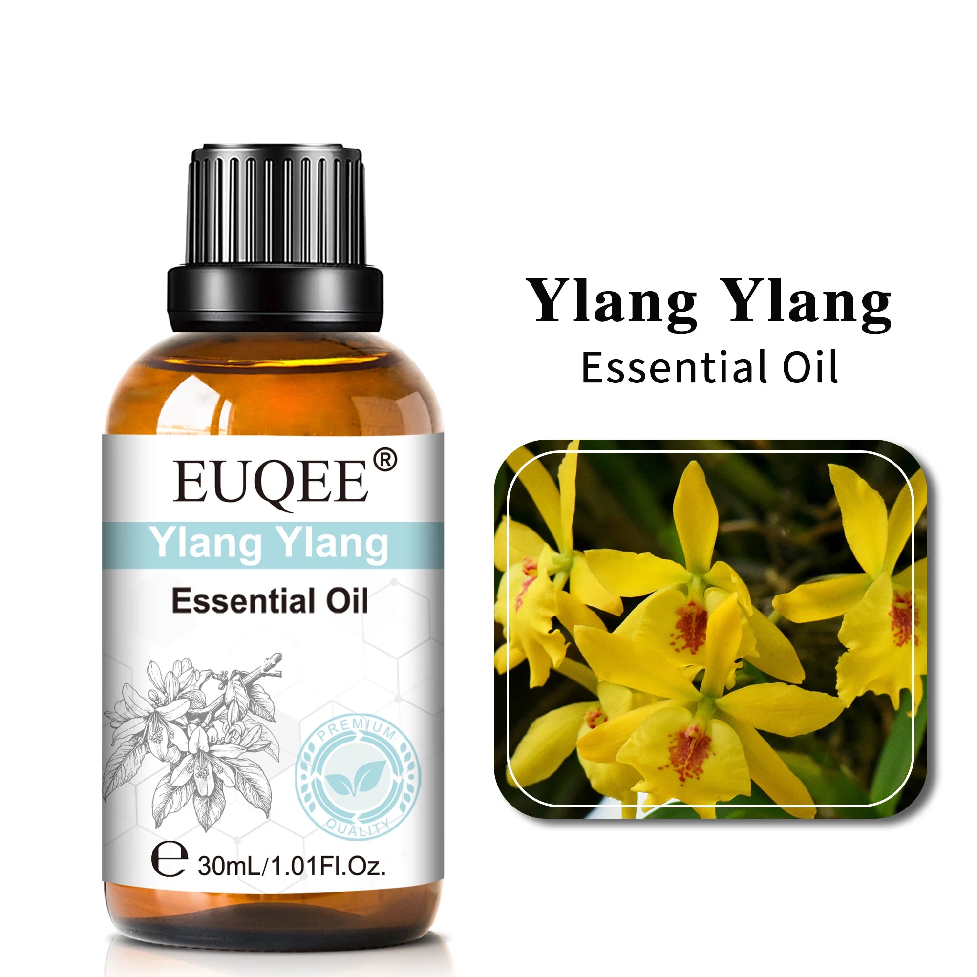 EUQEE 30ml Lavender Aromatherapy Essential Oil Sandalwood Eucalyptus Peppermint Citronella Vanilla Cinnamon Reed Diffuser Oils