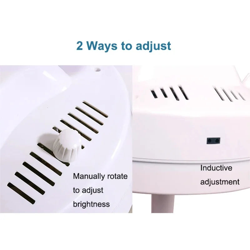 Dental LED Implant Lamp | Shadowless Cold Light for Clinical Precision Massage Chairs Tidesmit