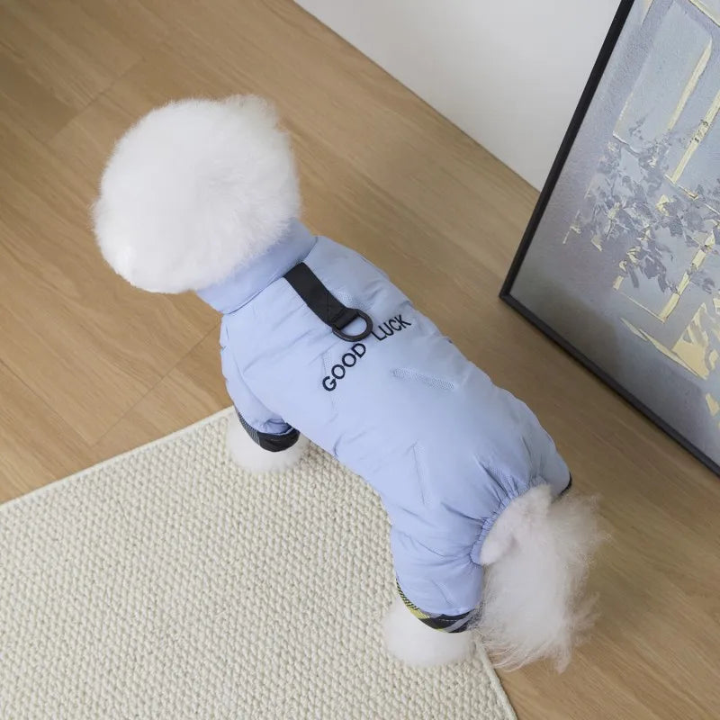 Small dog wearing a light blue waterproof winter jumpsuit with leash attachment for warm, cozy outdoor walks.