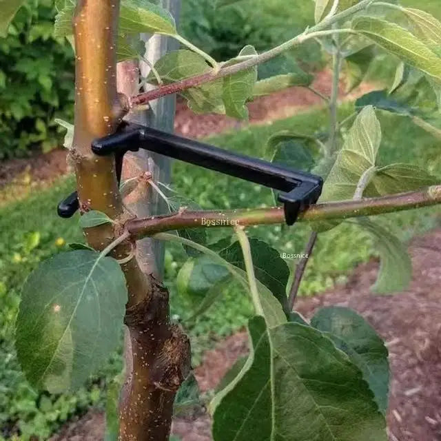 Black twisting plant clip with V-shaped hook holding a branch against a trunk