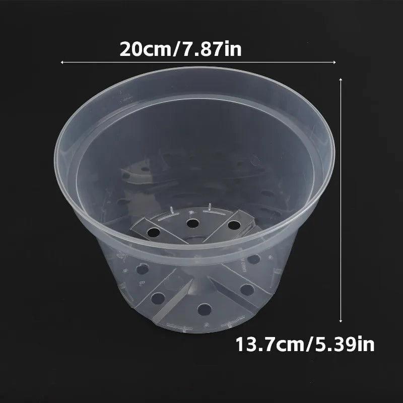 Transparent seedling cup planter with drainage holes, extra large 20cm x 13.7cm