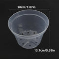 Transparent seedling cup planter with drainage holes, extra large 20cm x 13.7cm