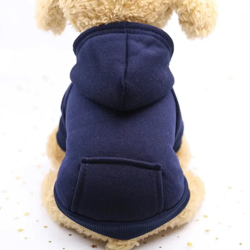 Small dog wearing a thick navy blue hooded sweater for cozy, warm winter outdoor style.