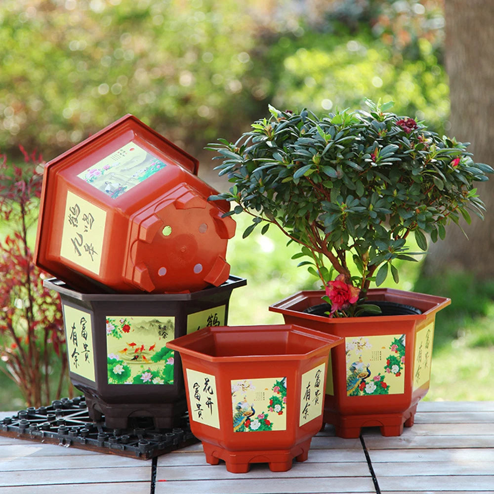 Large red resin flower pot with illustrated front panel, holding a bonsai tree.