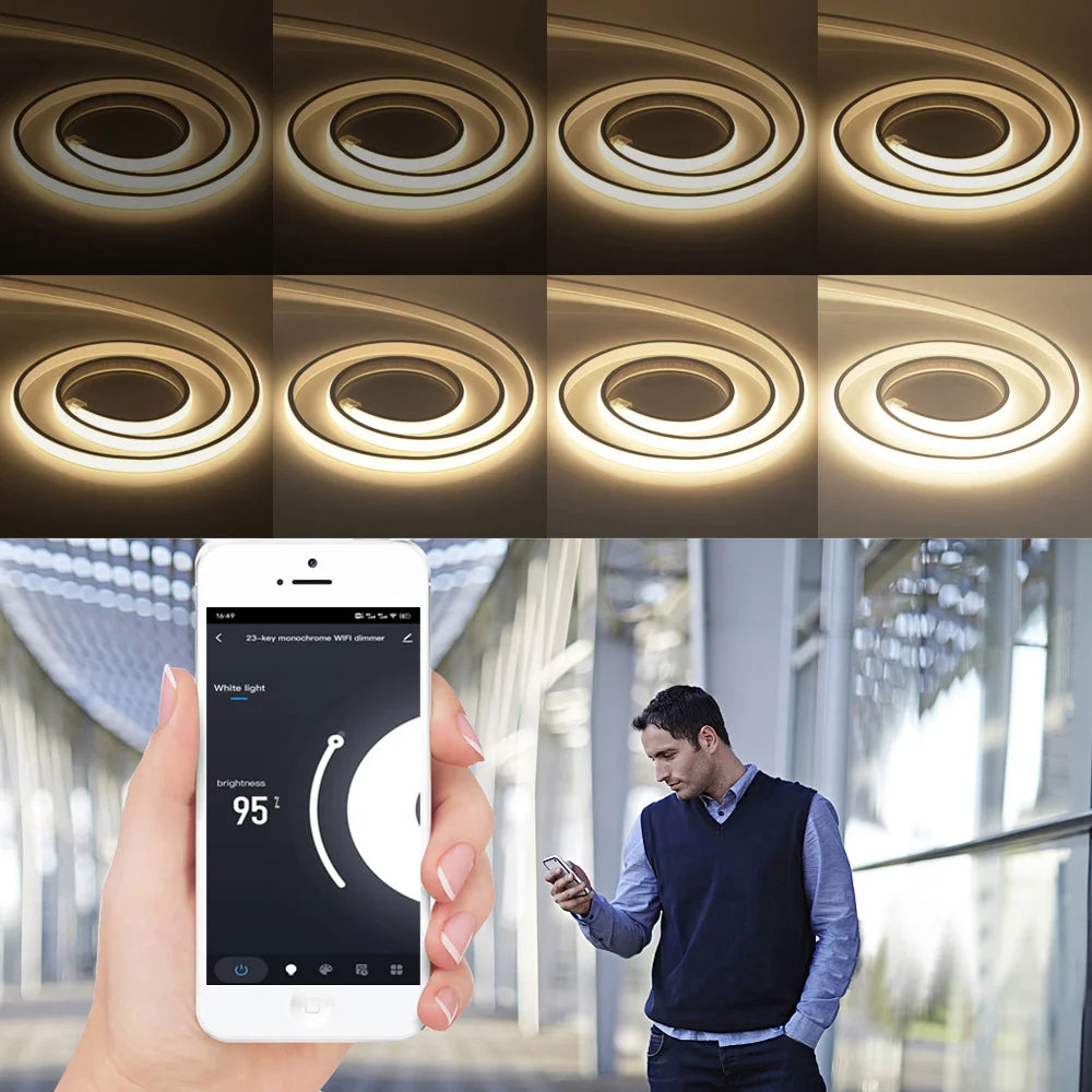220V COB LED Neon Strip Light Wall Touch Wifi Bluetooth 23key Remote Control Power Kit Dimmable 288 LEDs Flexible Silicone Lamp