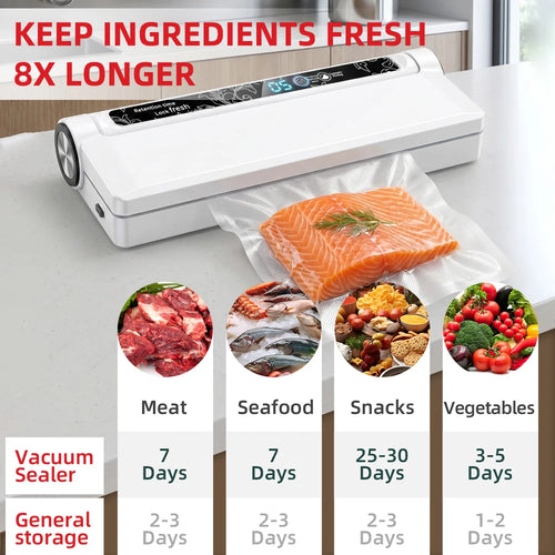 Vacuum food sealer with vacuum-sealed salmon fillet