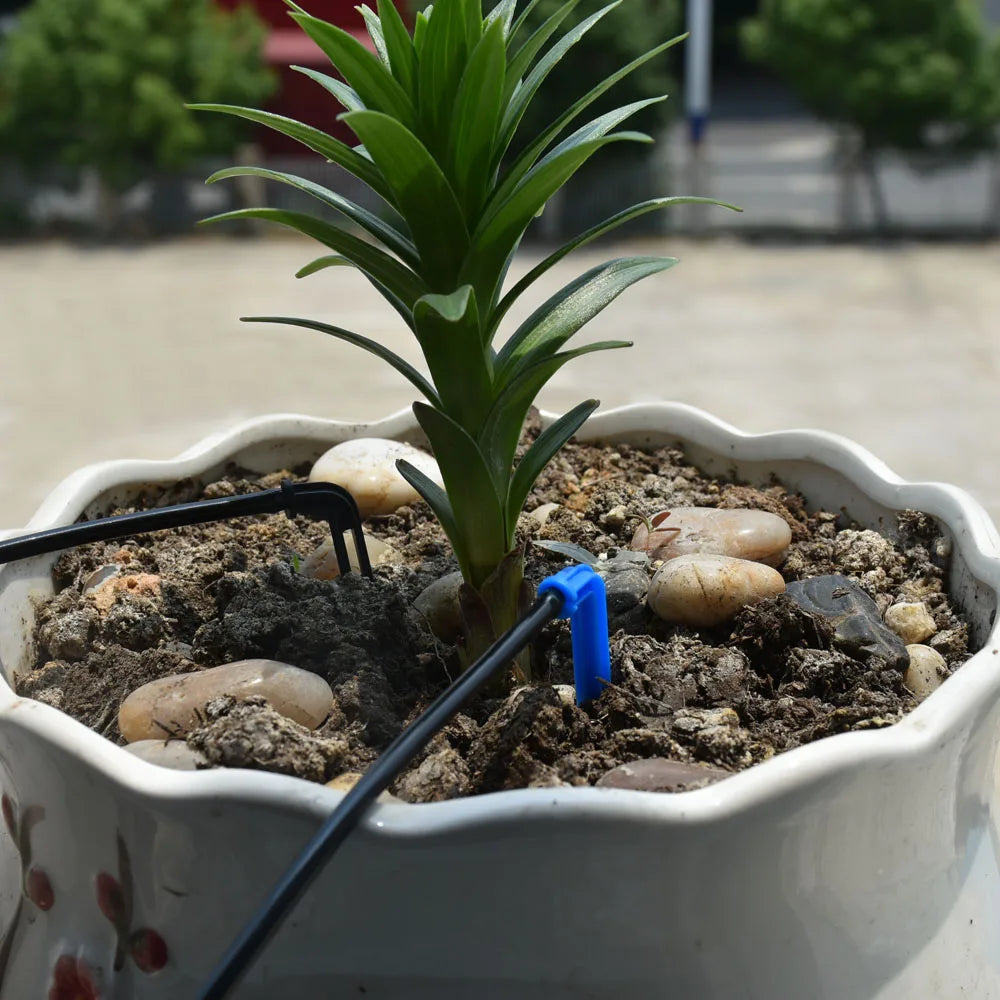 Greenhouse Potted Curved Arrow Dropper Micro Drip System 2L4L8L Pressure Compensation Dripper 3/5mm 2/4-way Irrigation Kit