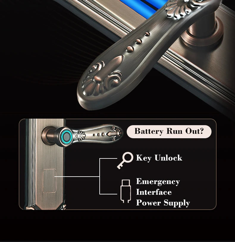 Competitive Price OEM&ODM TT Fingerprint Password Gold Handle Smart Door Handel Lock D30zm