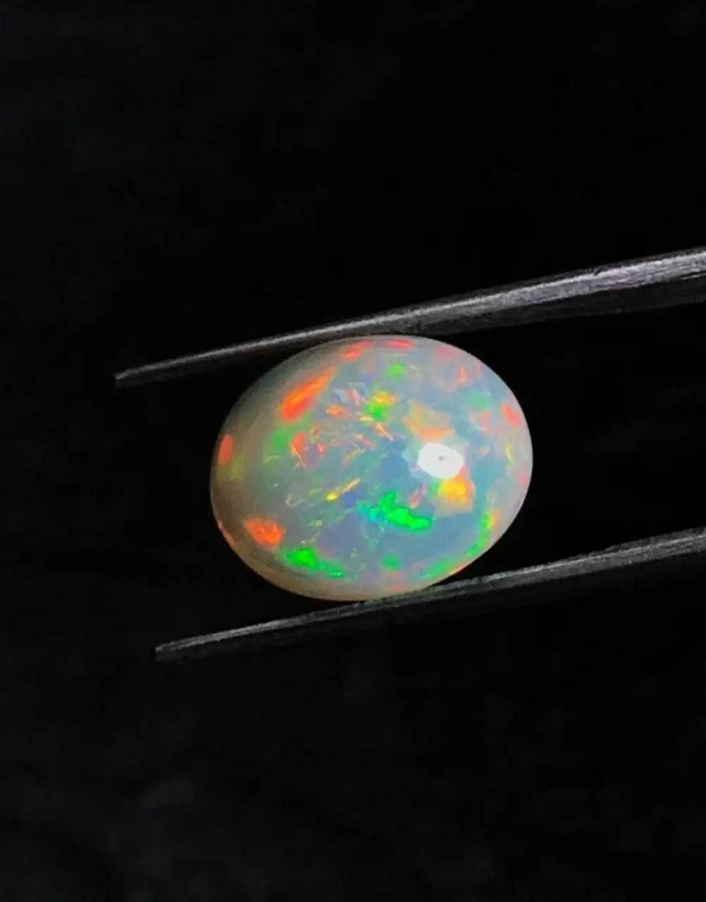 Oval opal cabochon with multicolor fire, gripped by metal tweezers tips.