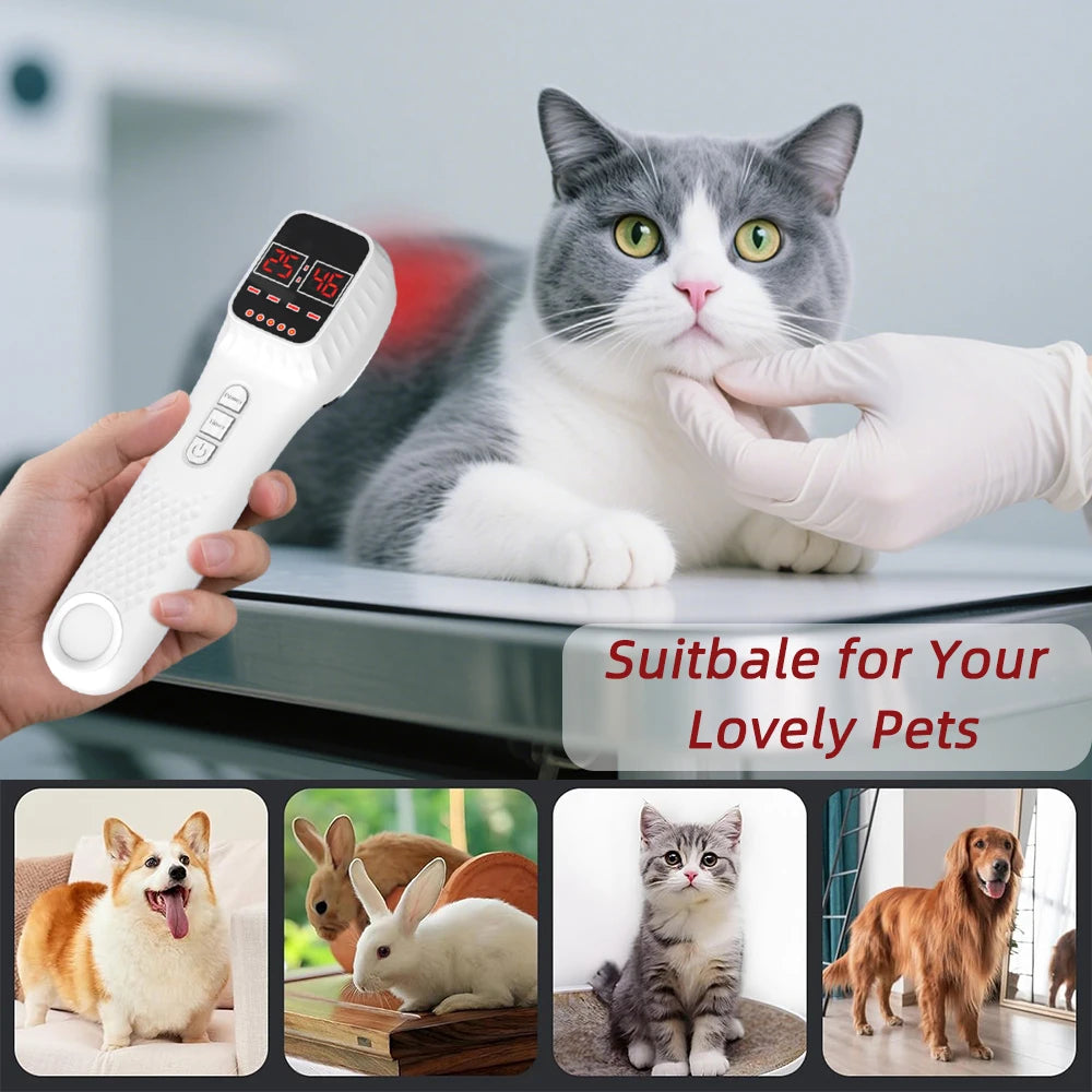 650nm+808nm Portable Face Body Red Light Infrared Beauty Device Skin Rejuvenation Muscle Joint Body Fatigue Relief Health Care