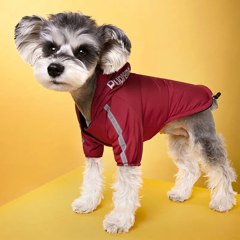 Dog wearing a red waterproof, reflective winter dog jacket for warmth and safety on snowy walks.