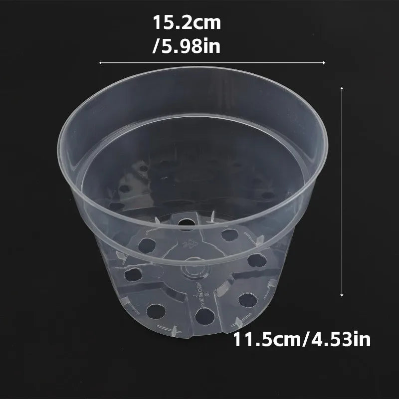 Transparent seedling cup planter with drainage holes, large 15.2cm x 11.5cm