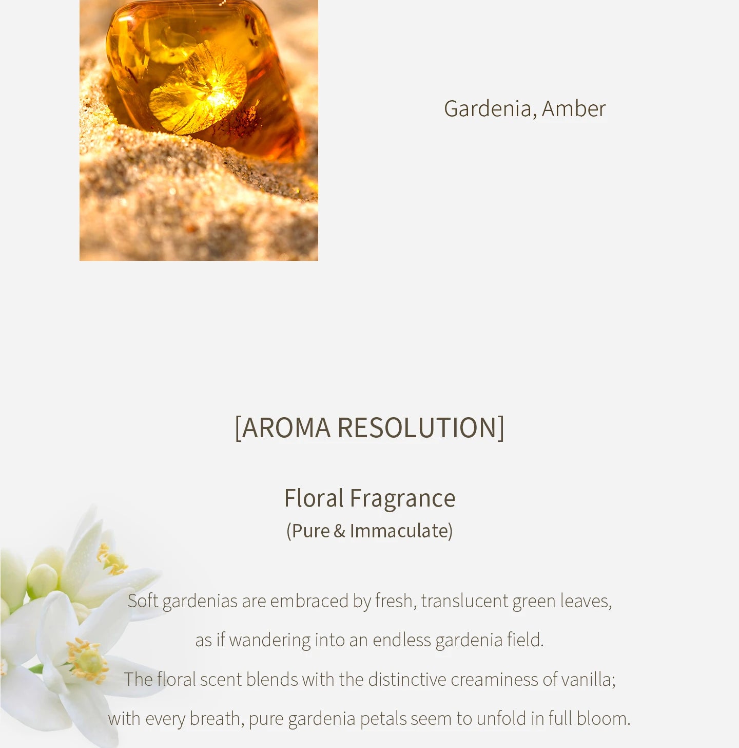 Golden amber gem on textured sand next to fresh white gardenia flowers for a niche elegant women's floral perfume.