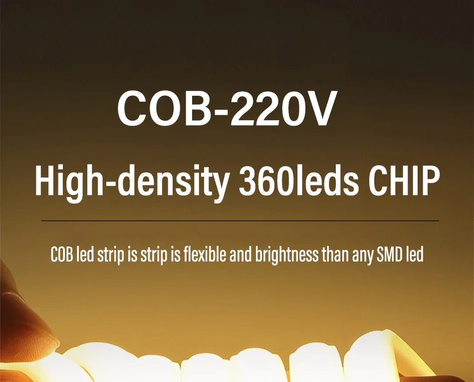220V COB LED Strip with Switch /Dimmable Waterproof 360LED Strip EU Plug for Outdoor Indoor Room Backlight Garden Kitchen TV