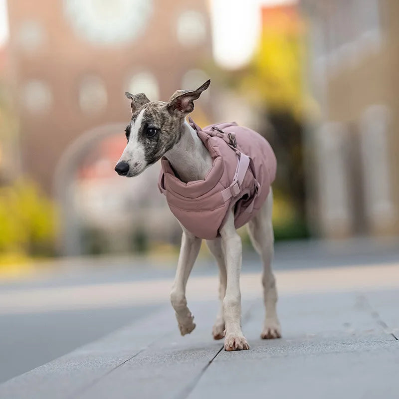 Small dog wearing a thick, warm pink cotton-padded winter coat with an integrated harness for outdoor walks.