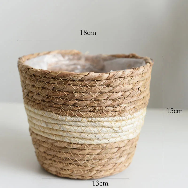 Woven grass planter basket with light beige and white rim, open top, 13cm wide.