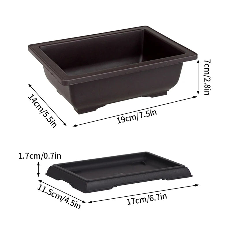 Rectangular bonsai planter pot in dark plastic with matching base tray insert